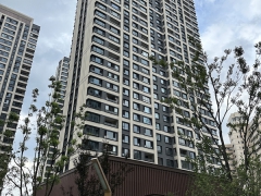 上海海景壹号外墙采用a级匀质线条